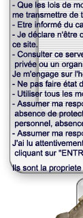 fesse